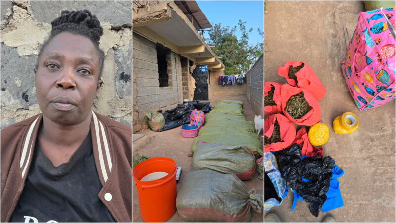 Suspected drug trafficker busted with 13 bags of bhang valued at KSh6.7M in Kandara