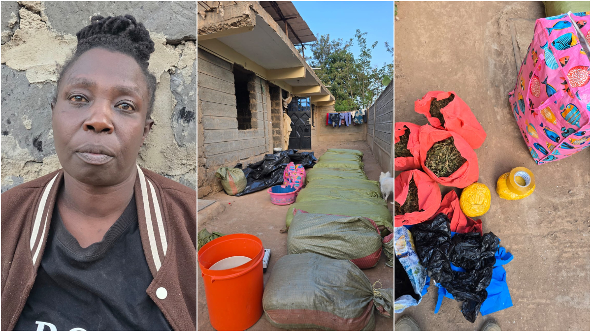 Suspected drug trafficker busted with 13 bags of bhang valued at KSh6.7M in Kandara