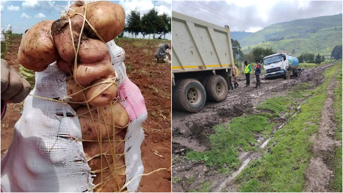 Nyandarua: Potato farmers counting losses due to bad roads despite KSh500M allocation in 2020