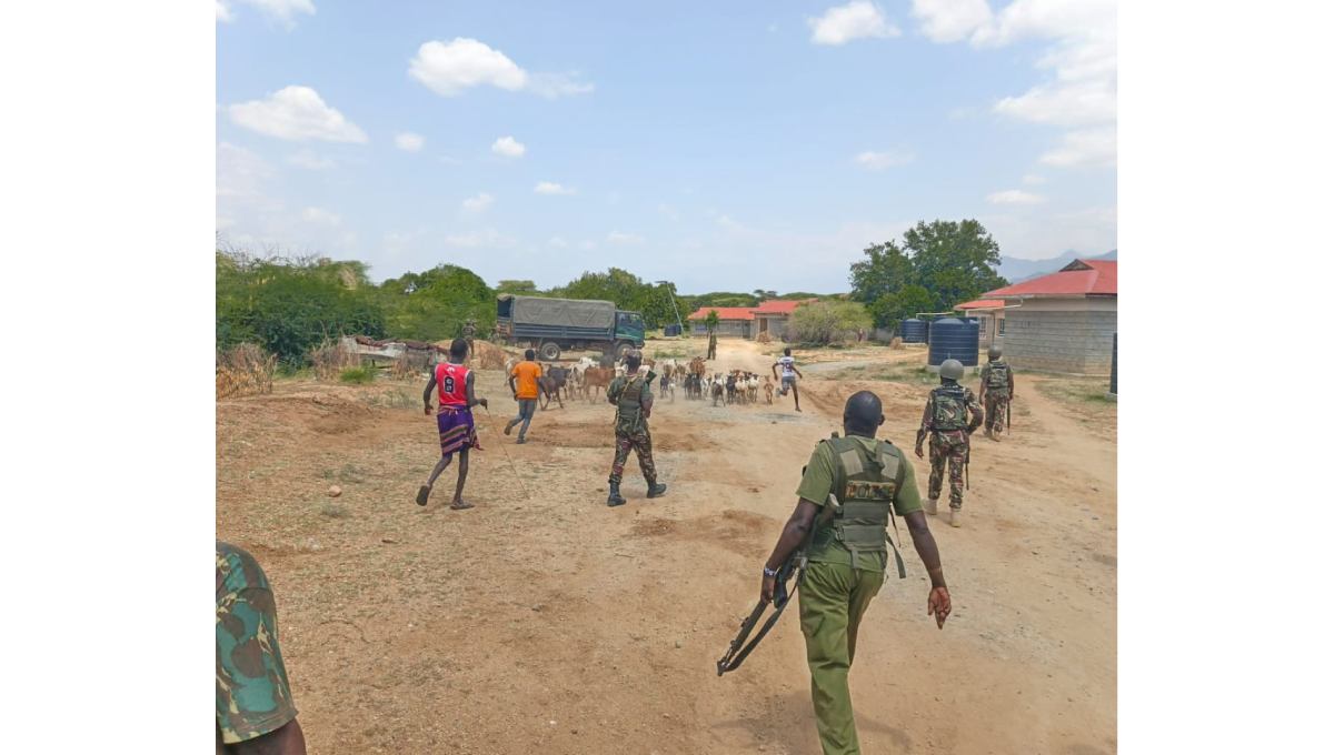 Stolen livestock recovered after gunfire between police and bandits in Isiolo
