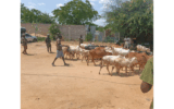 Three people killed during cattle rustling attack in Samburu