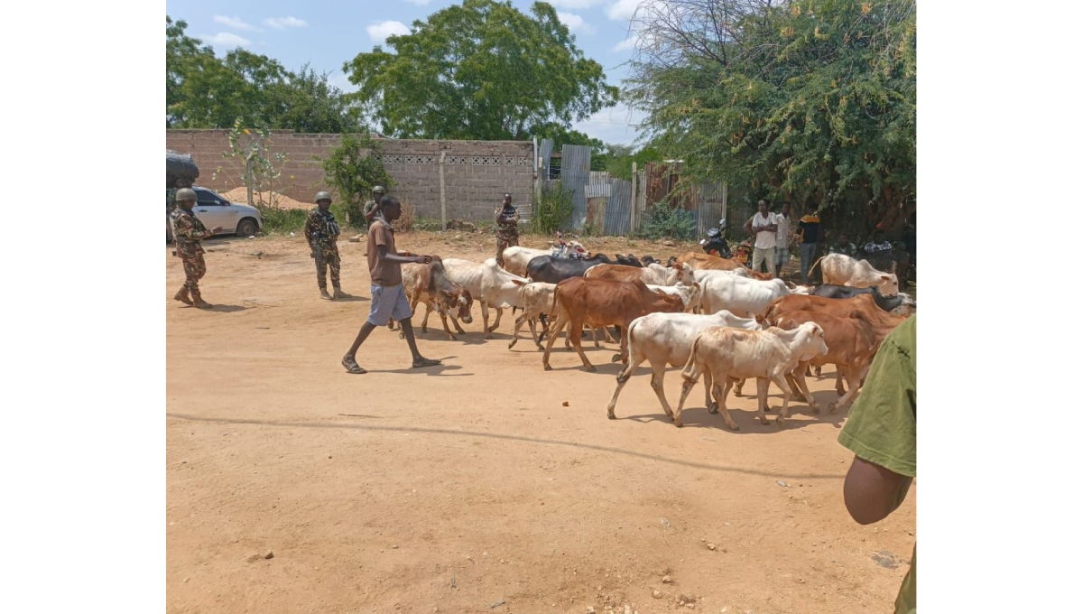 Three people killed during cattle rustling attack in Samburu