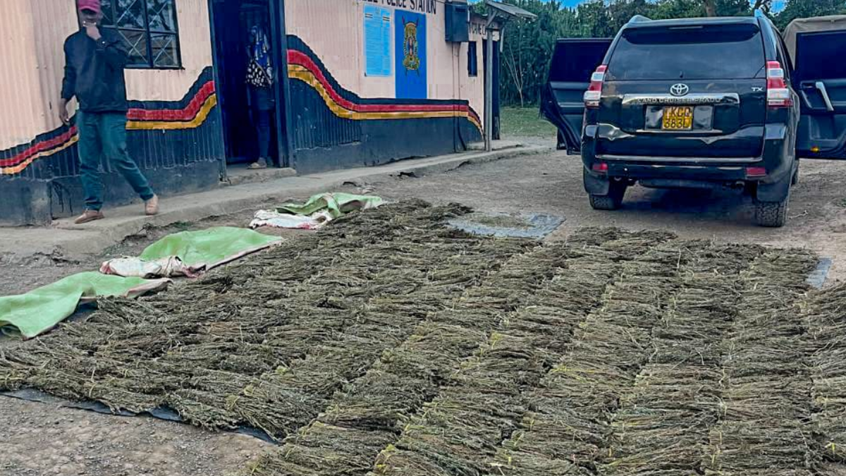 Police intercept a Toyota Land Cruiser in Narok, seize 600 brooms of bhang