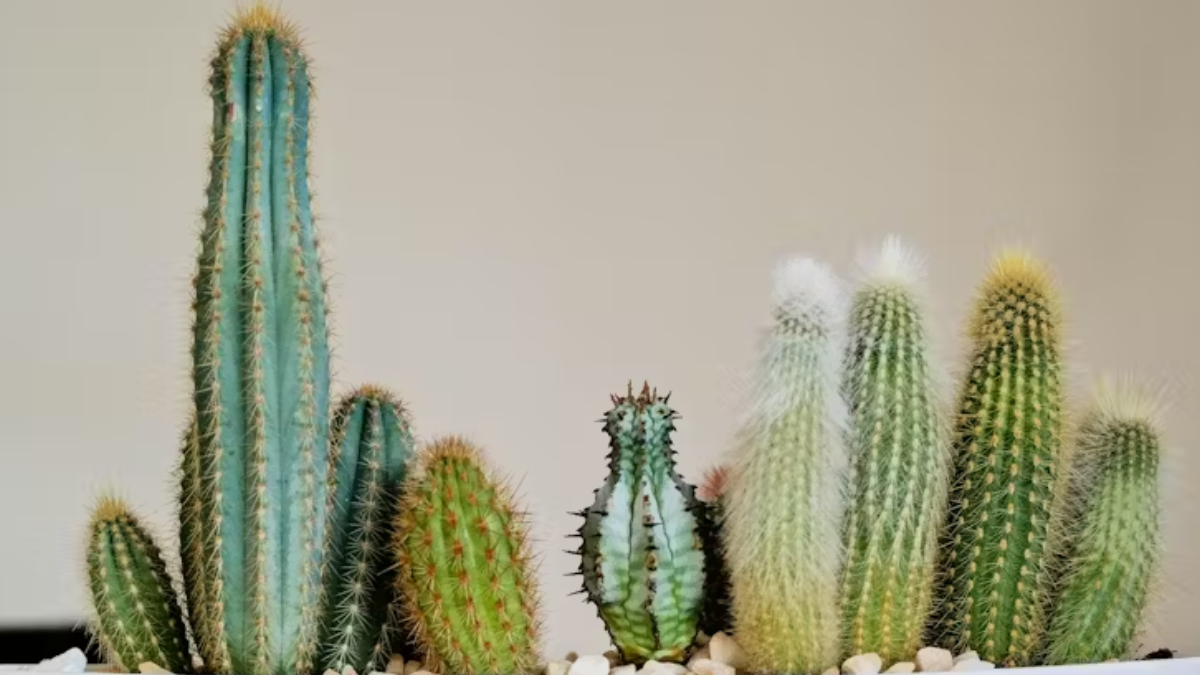 Does penis size matter? And how do I know what’s normal?