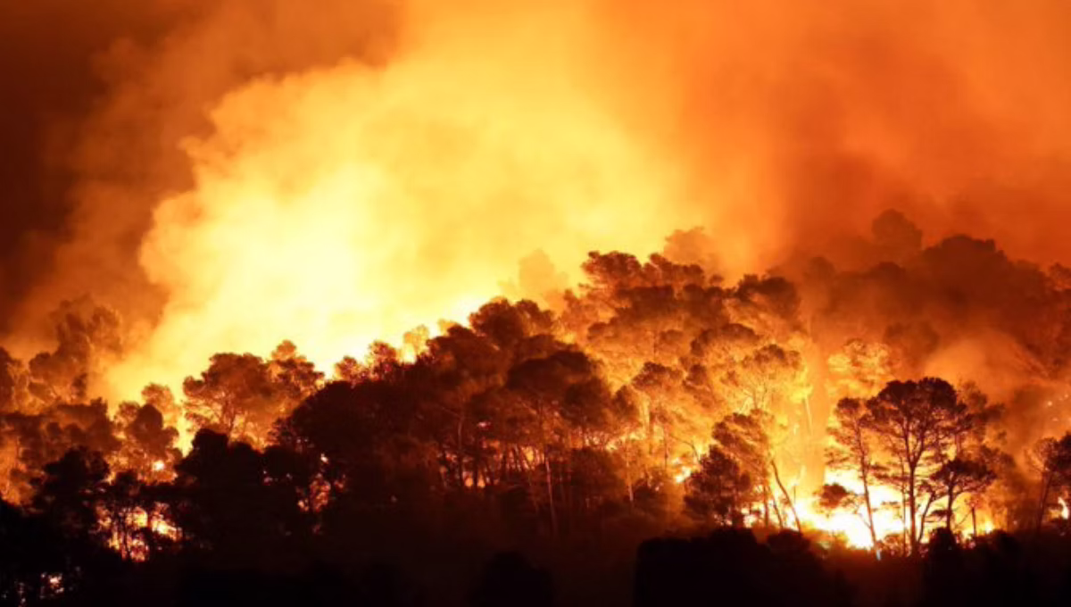Thousands displaced as France battles largest wildfire