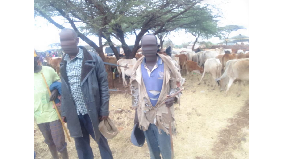 How police overpowered bandits in a fierce shootout to recover 145 cows stolen in Tigania