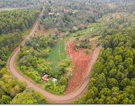 ‘Mùcibi wa Gichugu’: Kirinyaga famous stalled road revived after 5-year hiatus
