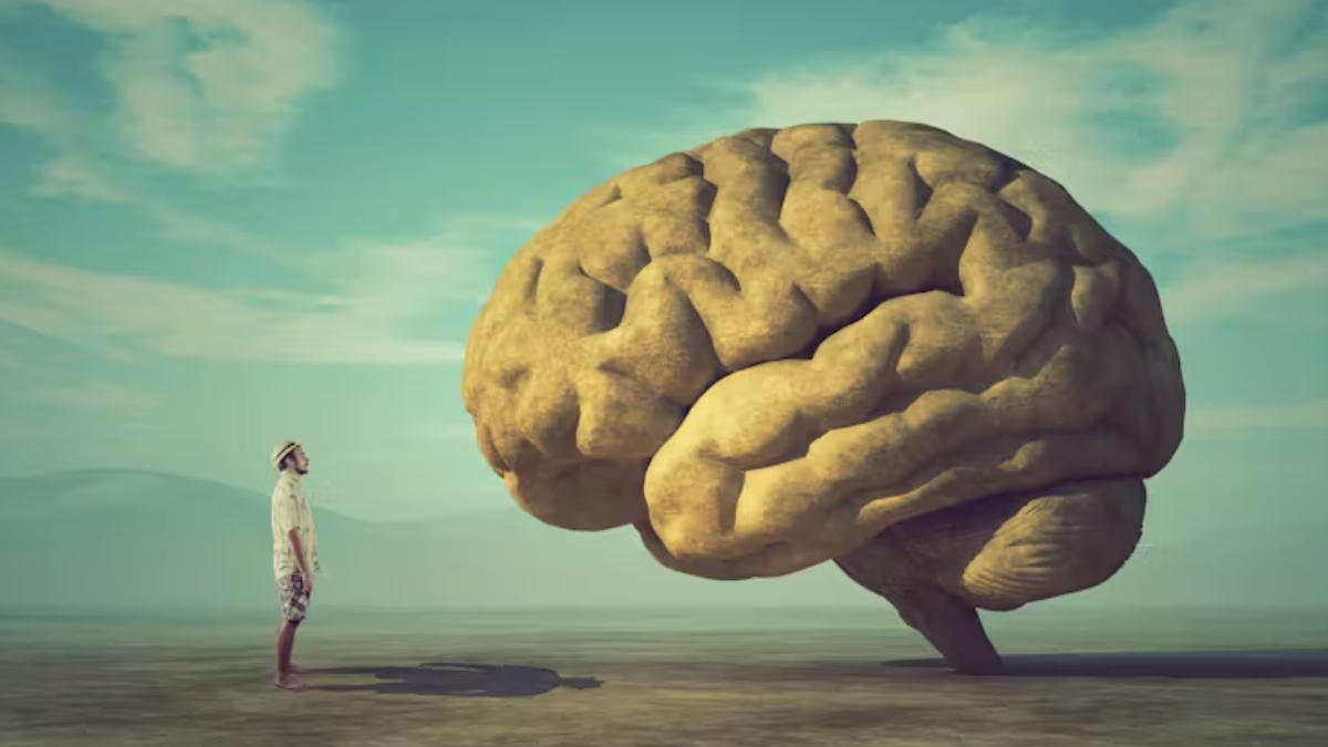 Part of your brain gets bigger as you get older – here is what that means for you
