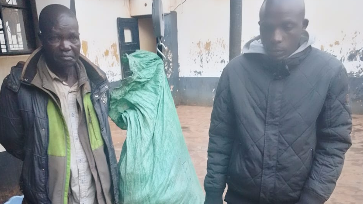 Two suspects arrested with 24Kg of bhang in Busia