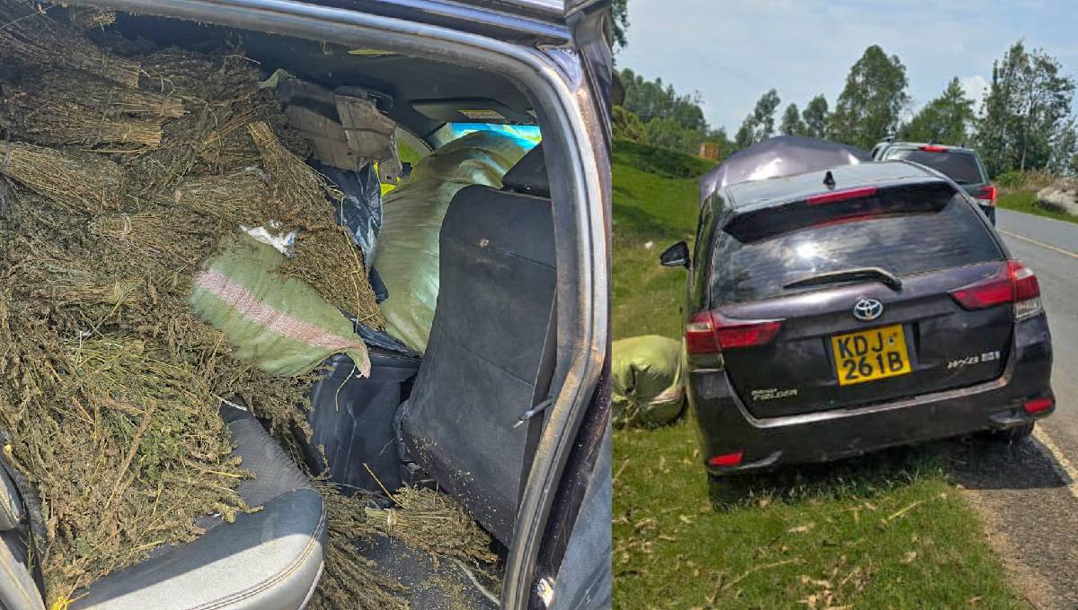 Bhang worth Ksh 4.7 million discovered in an abandoned vehicle in Kakamega