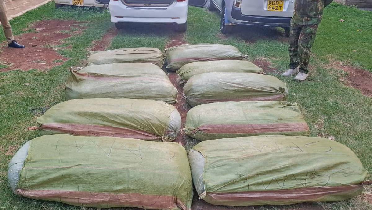 2 suspects arrested as police recover 260Kg of bhang in Nyamira