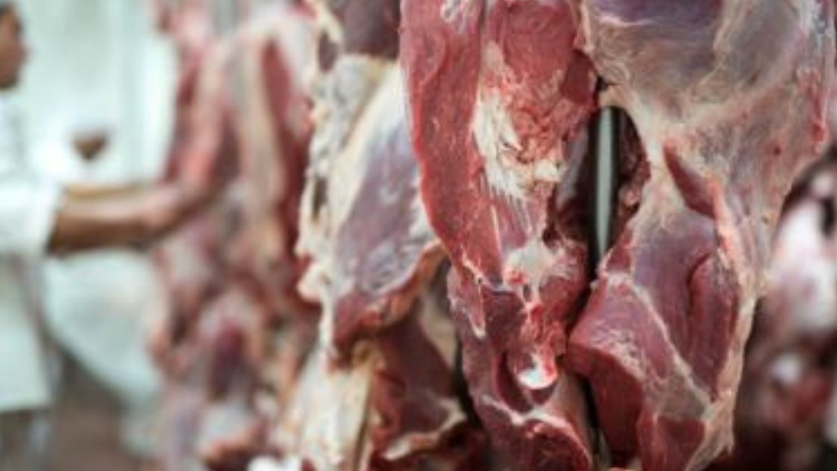 Kenya Meat Expo 2025: Where nyama meets change