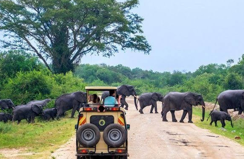 Kenya, Uganda partner to market as single tourist destination: What this means