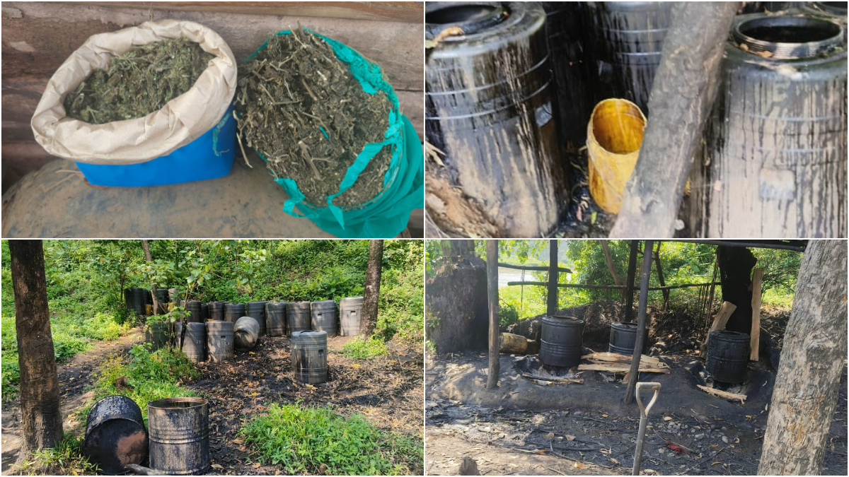 Main supplier of bhang to Sigalagala Polytechnic students arrested, 5,000 litres of chang’aa destroyed during NACADA operation