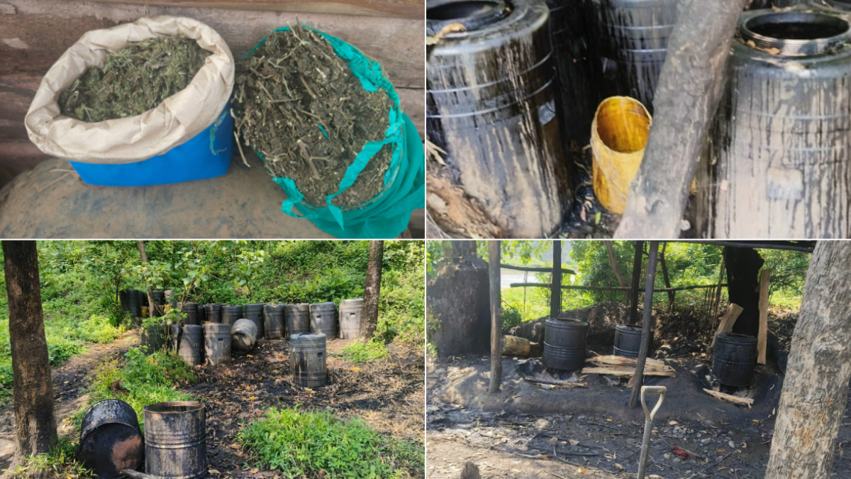 Main supplier of bhang to Sigalagala Polytechnic students arrested, 5,000 litres of chang’aa destroyed during NACADA operation
