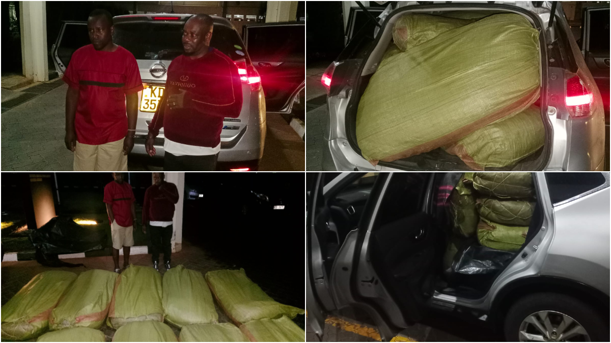 Nine sacks of bhang in a Nissan X-Trail: The Nyaikondo brothers arrested in Narok