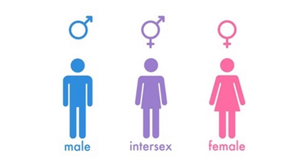Gov’t given 7 days to respond in intersex rights case