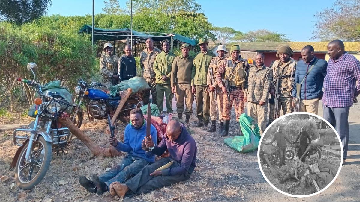 Two poachers arrested with giraffe meat—including giraffe head, legs—in Makueni