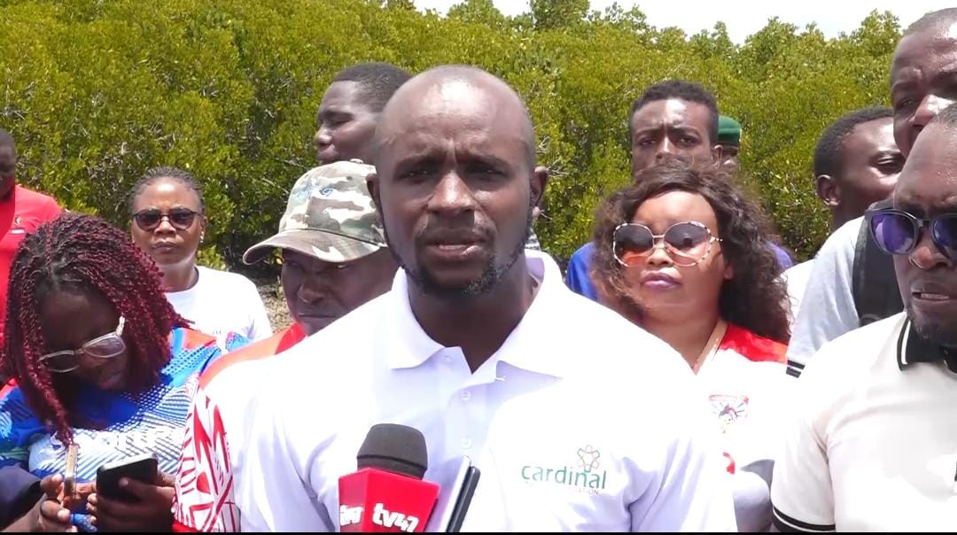 Questions emerge over tree planting campaign at the coastal region