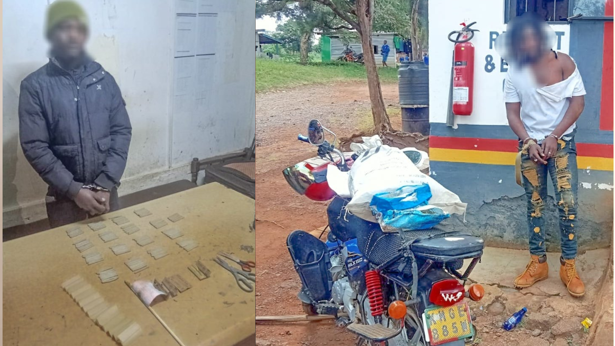 Suspect found with 168 rolls of bhang, another one with a sack of bhang