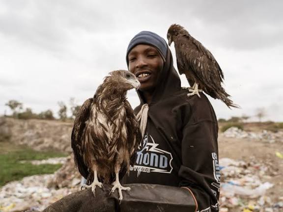 Man who shares streets with his eagles: Birdman and his fight to save the city’s raptors