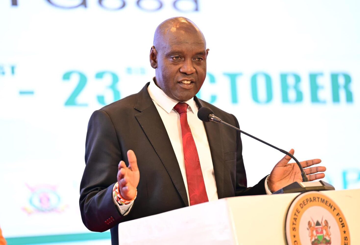 Kenya’s tourism strategy: Government dismisses beach privatisation claims amidst public engagement