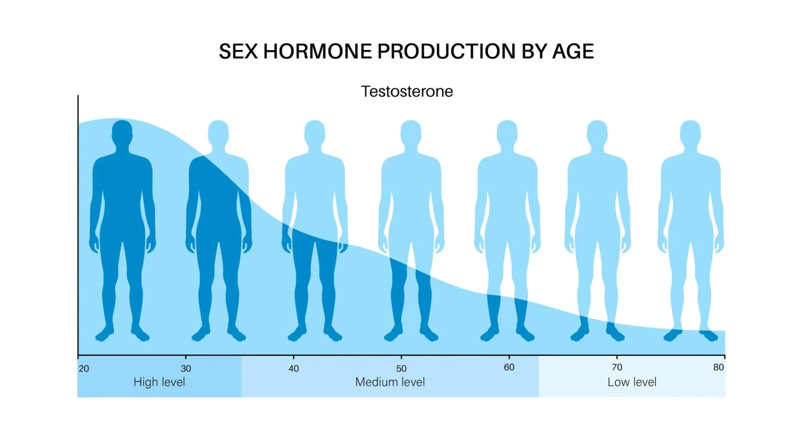Testosterone levels decline with age, not menopause, despite what you’ve heard