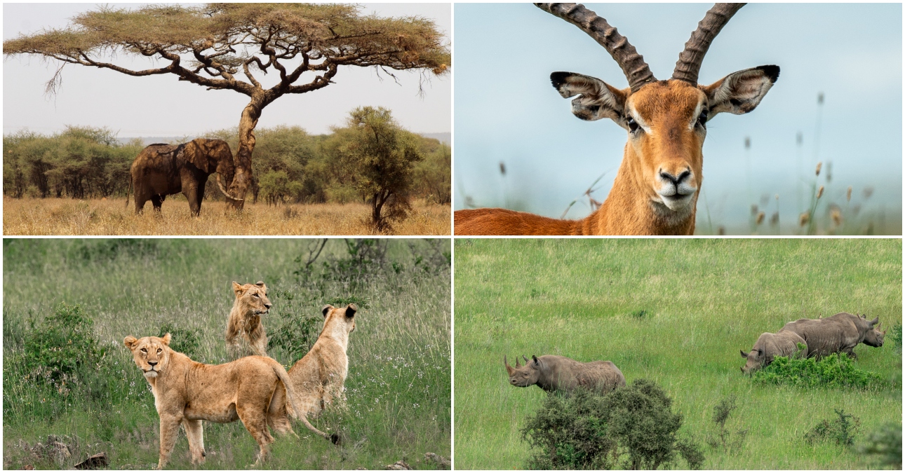How the next generation is redefining Kenya’s tourism story