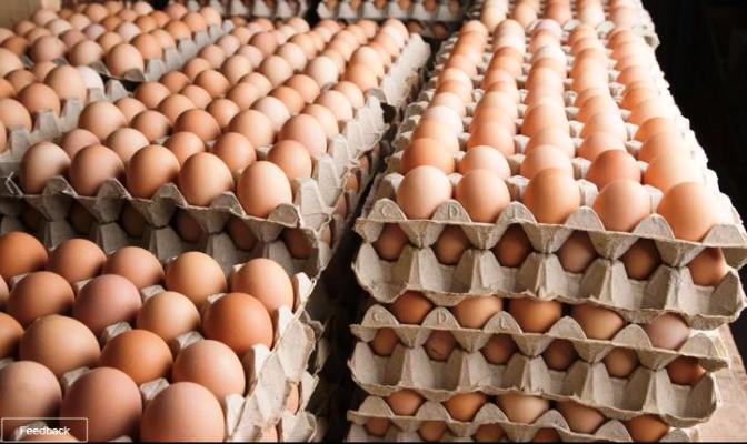Kenya imports 5 billion eggs annually, CS Kagwe says it must stop