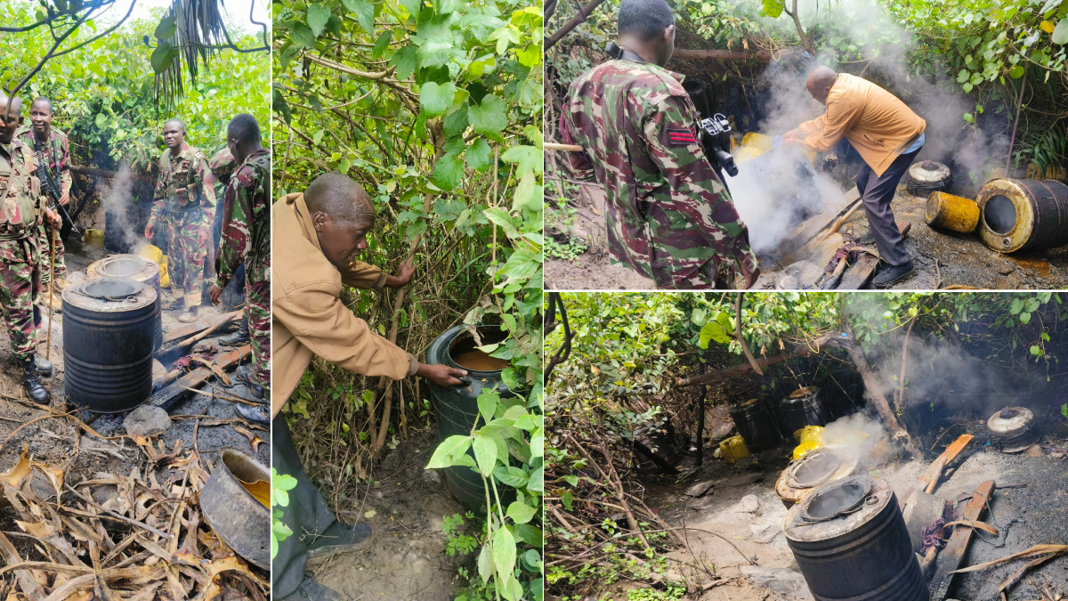 NACADA seizes 50,000 litres of Kangara, 100 litres of Chang’aa in major Kericho operation