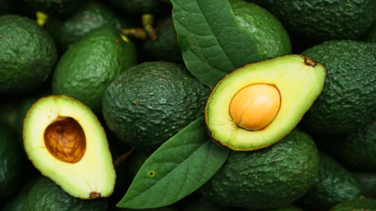 Tanzania’s green gold rush: how avocado waste is hurting farmers and what should be done