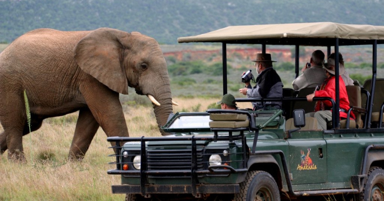 What is driving the 12% growth in African international arrivals? Africa’s tourism boom in 2025