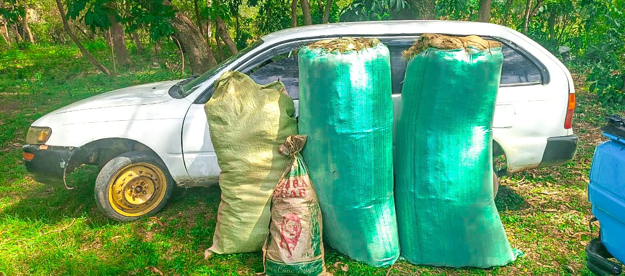 Police detain individual and confiscate drug consignment in Homa Bay