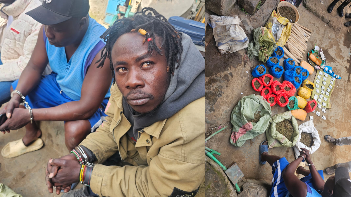 Two notorious traffickers arrested as NACADA seizes over KSh2 million bhang in Naivasha