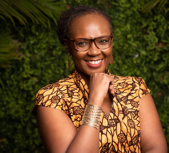 The role of the insurer in Africa green transition