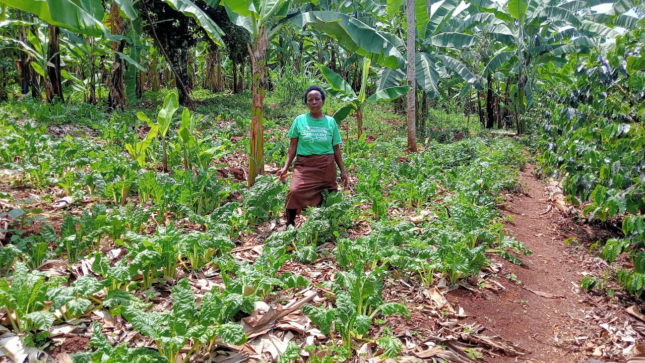 Eating styles that can help Kenyans live longer, according to global research