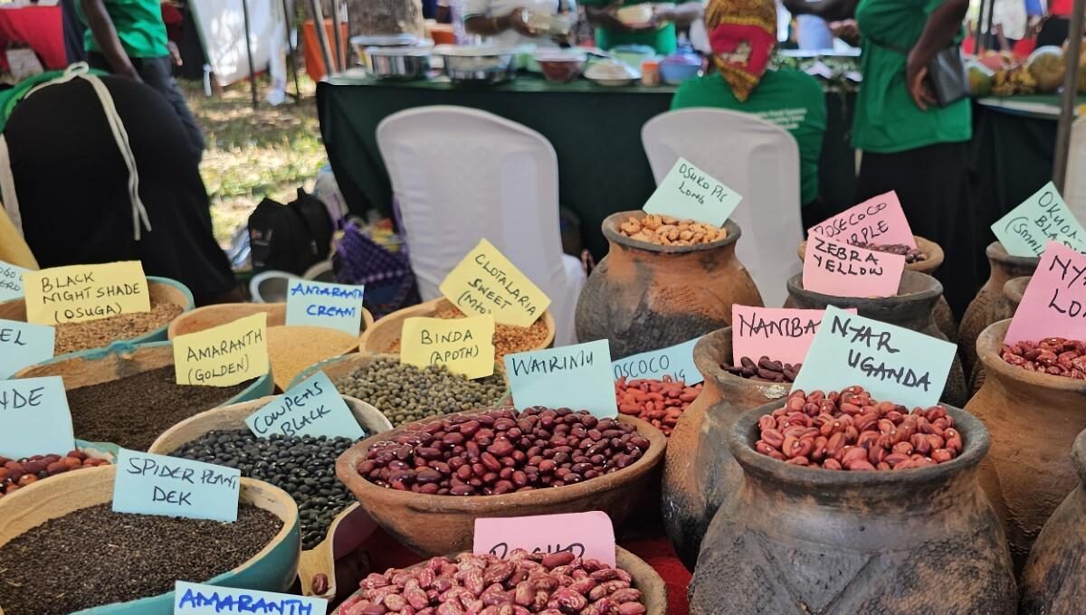 Court declares Kenya Seed and Plant Varieties Act unconstitutional