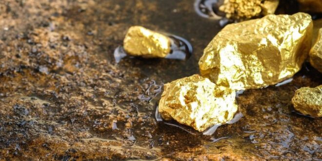 Shanta Gold unveils Sh683 billion gold discovery in Kakamega