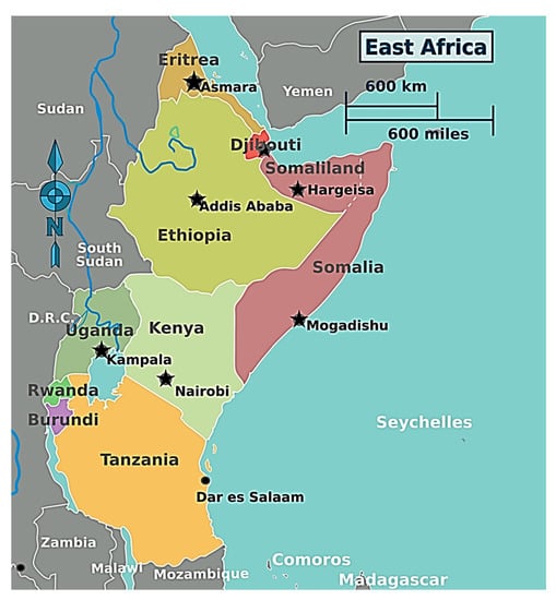 Why East Africa’s Civic Space Must Be Protected for the Region’s Future