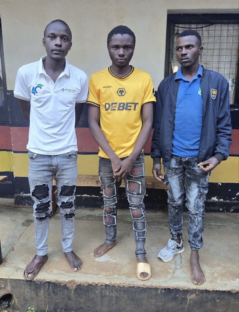 Three suspects linked to the Kirinyaga East murder cases arrested