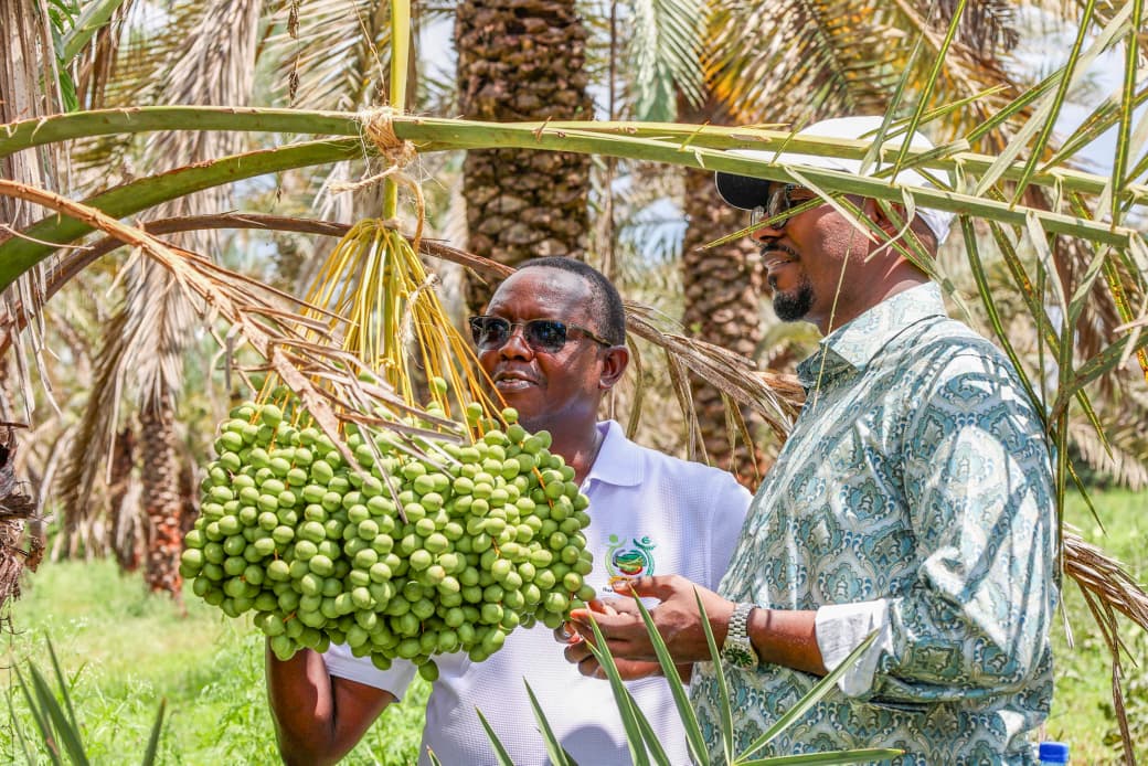 Agricultural and Food Authority (AFA) Director General Dr. Bruno Linyiru and COG Chair FCPA Ahmed Abdullahi