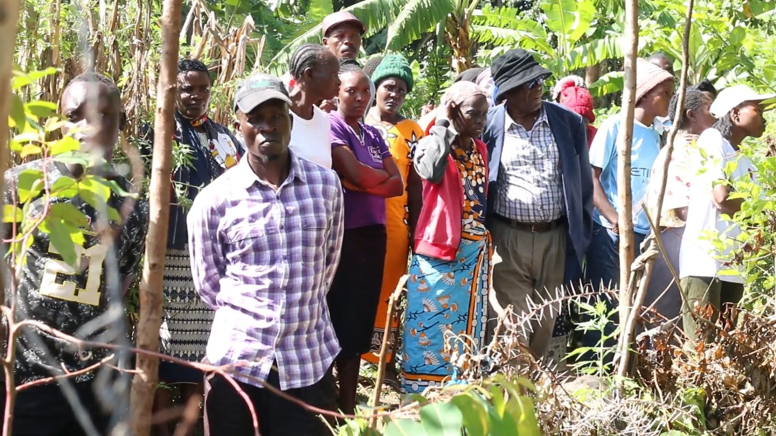 Tragedy in Bungoma as son allegedly hacks father to death on Christmas night during an argument