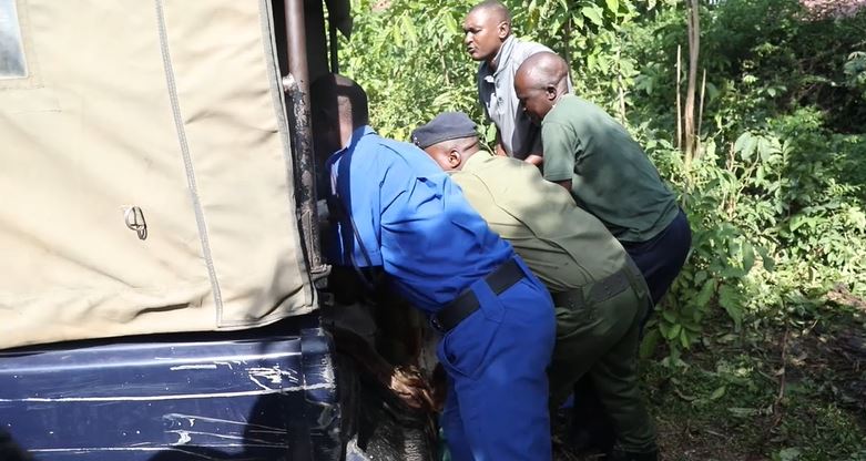 Thieves found while slaughtering stolen cow behind church in Homa Bay