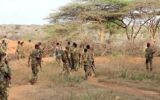 Over 30 Al-Shabaab militants killed in a joint operation