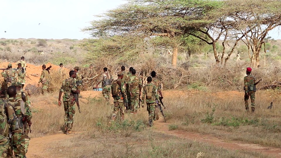 Over 30 Al-Shabaab militants killed in a joint operation