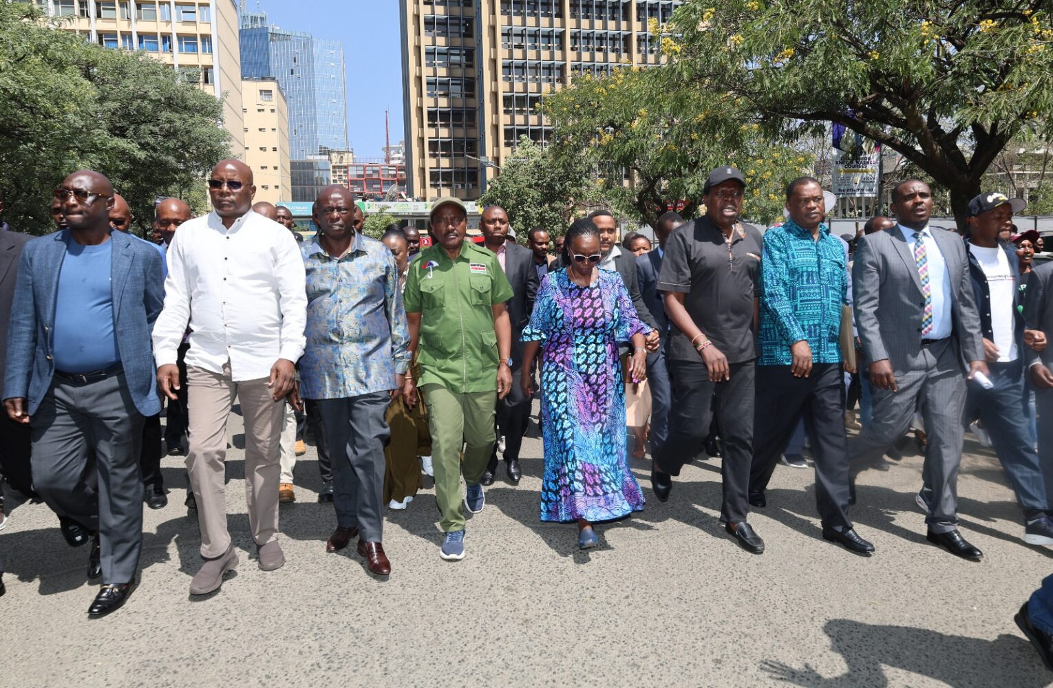 Inspector General Kanja receives petition from United Opposition