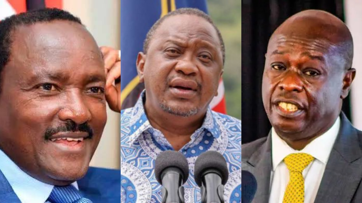 Kalonzo, Gachagua and Uhuru are lightweights to President Ruto – ODM MP