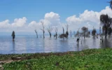 Beyond riparian line: encroachment, climate change, and the remaking of Lake Naivasha 