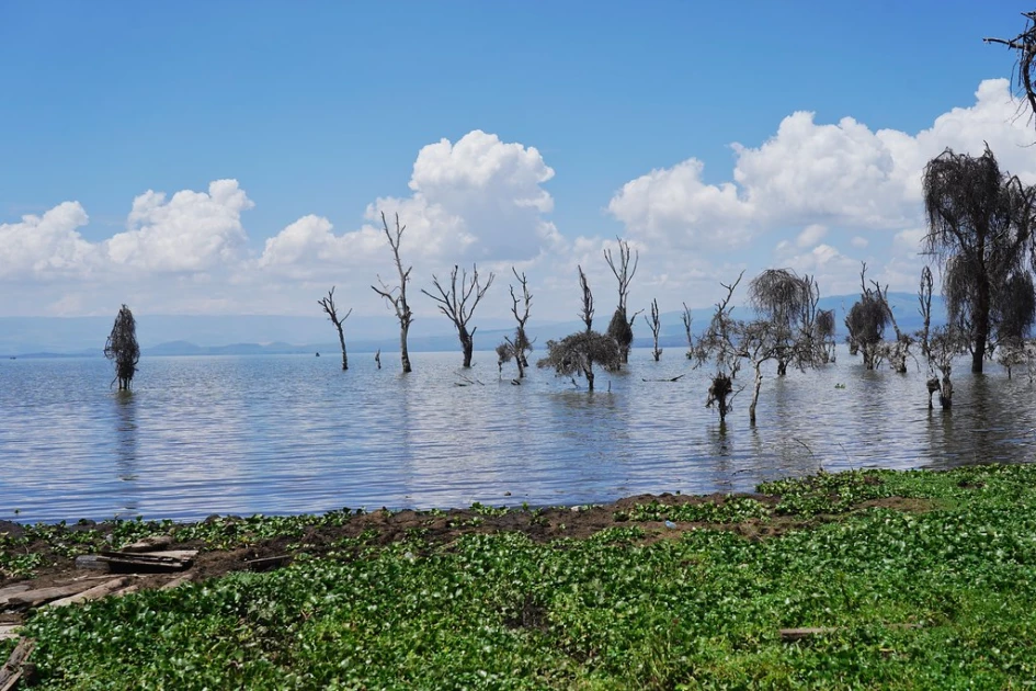 Beyond riparian line: encroachment, climate change, and the remaking of Lake Naivasha 