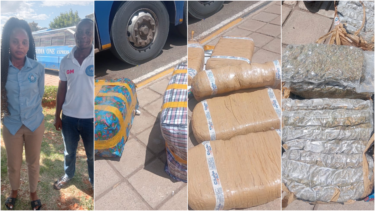 Two Tanzanians arrested as KSh2.5 million bhang discovered in Kenya-bound Tanzania bus